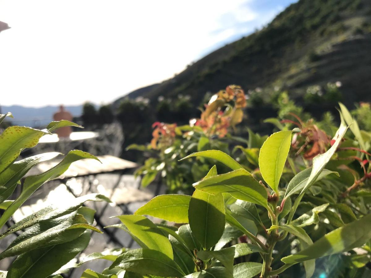 Borgo Manca Suite Сасо ди Касталда Екстериор снимка
